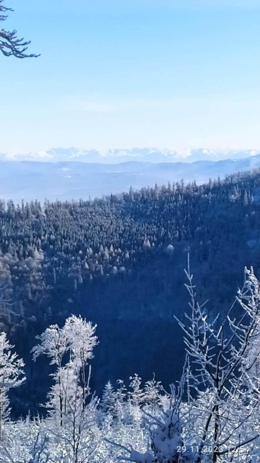 Dom Wypoczynkowy Pod Polanka Korbielów Dış mekan fotoğraf