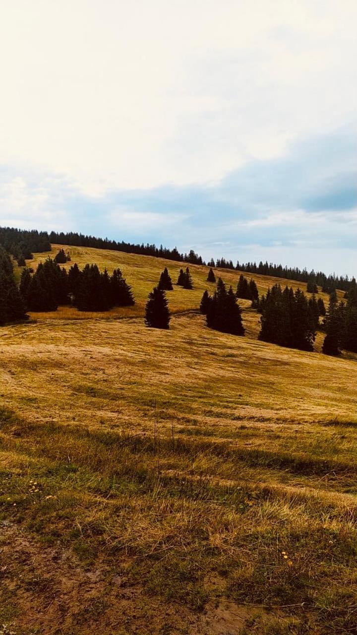Dom Wypoczynkowy Pod Polanka Korbielów Dış mekan fotoğraf