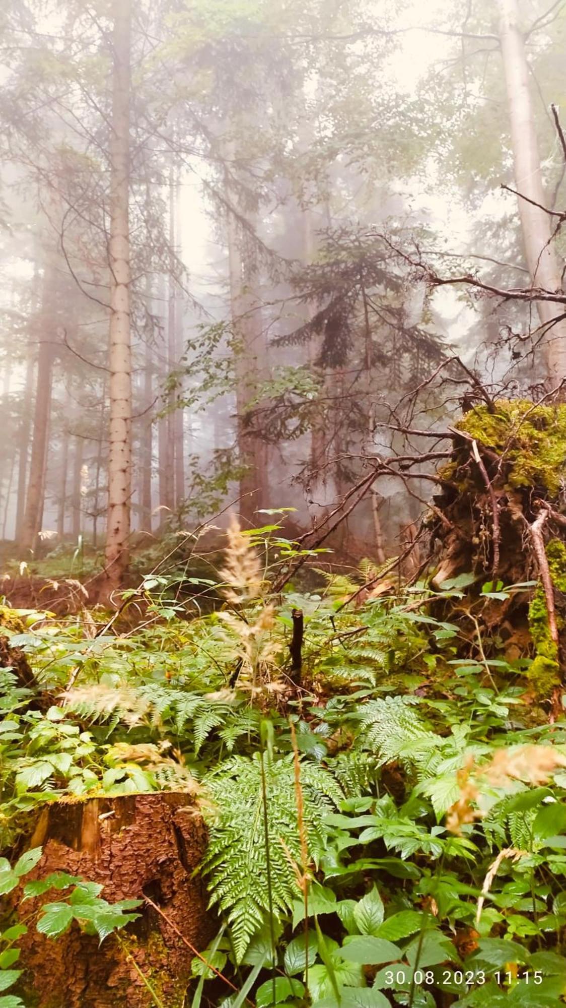 Dom Wypoczynkowy Pod Polanka Korbielów Dış mekan fotoğraf