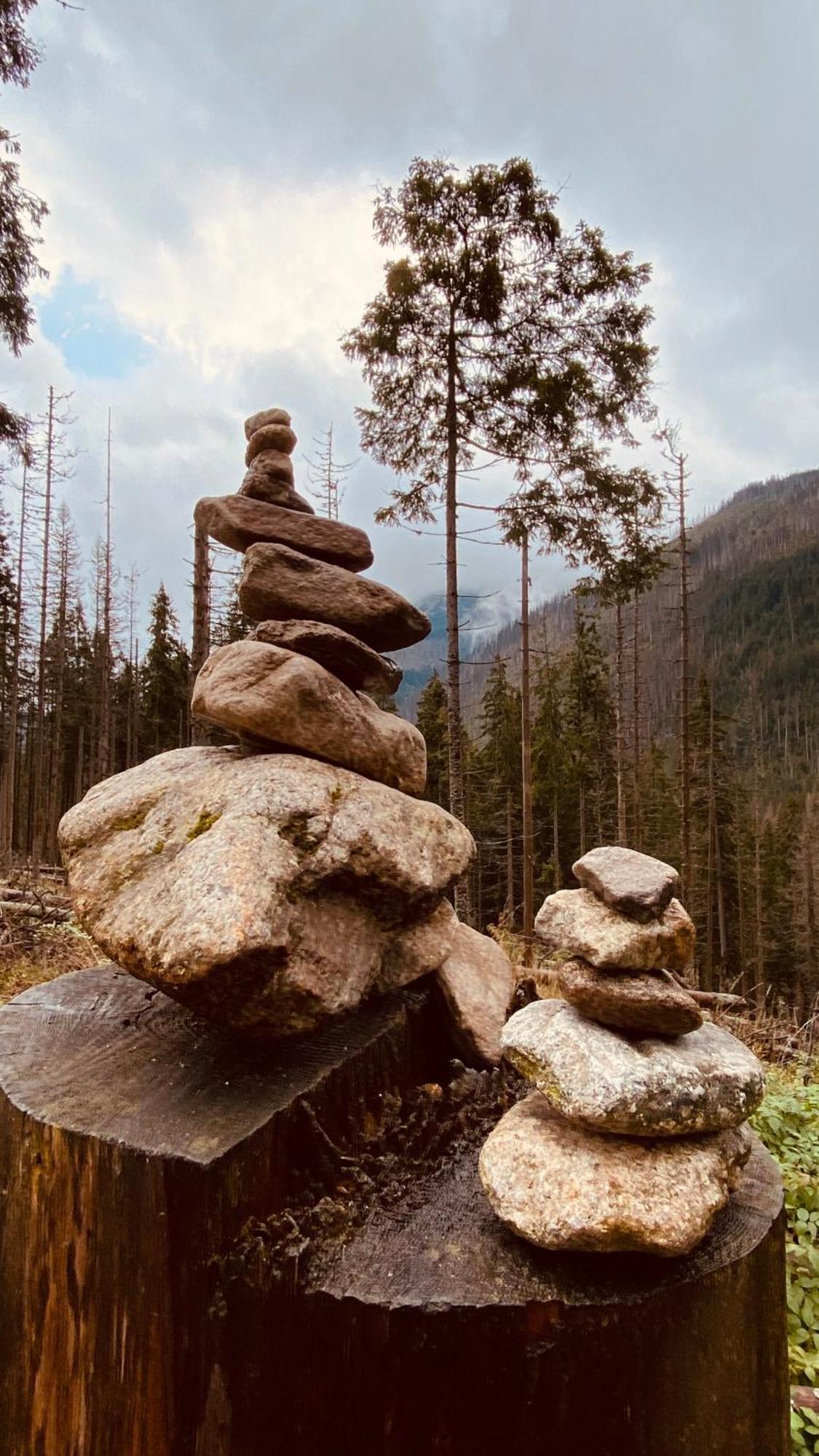 Dom Wypoczynkowy Pod Polanka Korbielów Dış mekan fotoğraf