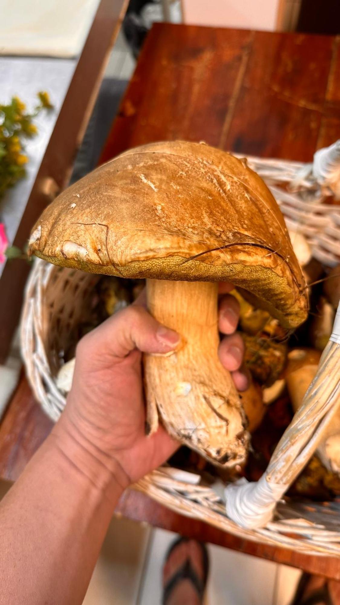 Dom Wypoczynkowy Pod Polanka Korbielów Dış mekan fotoğraf
